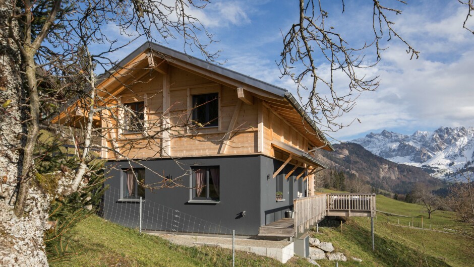 EFH-Petri-Feurer-Ennetbühl-Aussen-Sohm-12
